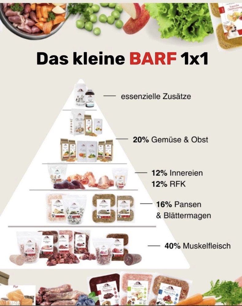 Das kleine BARF-1×1 von Tackenberg als Pyramide: 40 % Muskelfleisch, 16 % Pansen und Blättermagen, 12 % Innereien, 12 % rohe fleischige Knochen, 20 % Gemüse und Obst, dazu essenzielle Zusätze